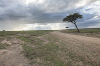 a dirt road running through a vast expanse in the middle of a plain with dark and cloudy skies