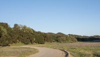 Dirt Road Through California Hills Under Clear Sky