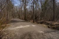 Dirt Road in the Canadian Landscape