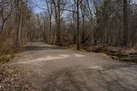 Dirt Road in the Canadian Landscape