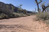 a dirt road is surrounded by trees and rocks in the middle of a desert area