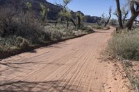 a dirt road is surrounded by trees and rocks in the middle of a desert area