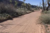 a dirt road is surrounded by trees and rocks in the middle of a desert area