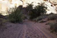 a dirt road runs through the middle of a desert landscape with an old rock wall