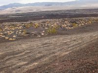 dirt road leading through a desert plain towards mountains and clouds in the distance and a line of yellow bushes on either side