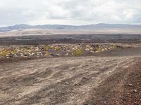 dirt road leading through a desert plain towards mountains and clouds in the distance and a line of yellow bushes on either side