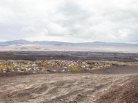 dirt road leading through a desert plain towards mountains and clouds in the distance and a line of yellow bushes on either side