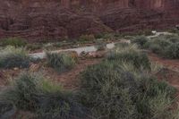 a view of the road in the desert from a distance with vegetation and rocks below