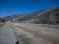 a dirt road next to a forest and a sign on it in the distance are several trees with no leaves