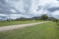 a dirt road winds through the grass to mountains in the distance with clouds in the sky