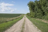 Dirt Road in Iowa, Bancroft: Exploring Agriculture