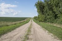 Dirt Road in Iowa, Bancroft: Exploring Agriculture
