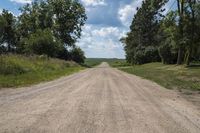a dirt road in the middle of a grassy field next to tall trees and a blue sky