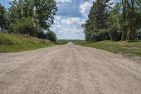 a dirt road in the middle of a grassy field next to tall trees and a blue sky