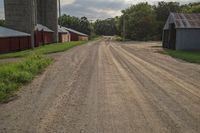 the view down the dirt road in front of two silos of hay, two cows, one dog