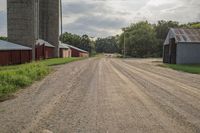 the view down the dirt road in front of two silos of hay, two cows, one dog