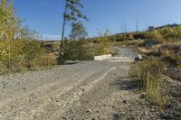 Dirt Road Landscape in British Columbia, Canada