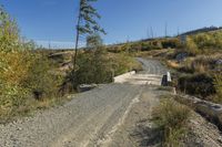 Dirt Road Landscape in British Columbia, Canada