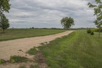the dirt road going into a grassy field with trees in the distance and grass everywhere