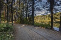 the dirt road leads to a body of water in the woods or forest canopy below