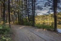 the dirt road leads to a body of water in the woods or forest canopy below