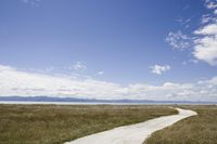 Dirt Road in the Low Country: Exploring the Grassy Landscape