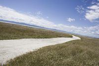 Dirt Road in the Low Country: Exploring the Grassy Landscape