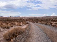 an open dirt road and mountains in the distance with grass and trees on either side