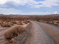 an open dirt road and mountains in the distance with grass and trees on either side