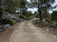 Dirt Road Through Majestic Mountains in Mallorca