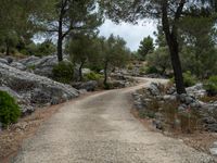 Dirt Road through Majestic Mountains in Mallorca - 002