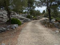 Dirt Road Through Majestic Mountains in Mallorca