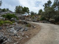 a gravel path that is surrounded by some rocks and trees with bushes on either side