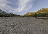 a dirt field with trees and rocks near a body of water and mountains in the distance