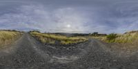 a small photo looking at a dirt road in the middle of nowhere in a field