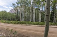 some people on some dirt and trees by the road and a car and mountain in background