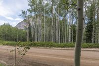 some people on some dirt and trees by the road and a car and mountain in background