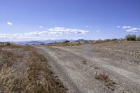 Dirt Road in the Mountains: Embracing Nature