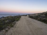 a dirt road leading towards a ocean by the shoreline at sunset in california on a hazy day