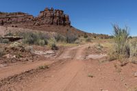 dirt road leads through open desert area with rock formation in background with plants and grasses