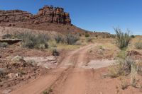 dirt road leads through open desert area with rock formation in background with plants and grasses