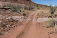 dirt road leads through open desert area with rock formation in background with plants and grasses