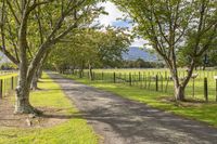 a dirt road going through a park with two trees next to a fence and grass on both sides