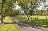 a dirt road going through a park with two trees next to a fence and grass on both sides