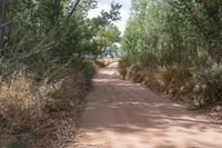 Dirt Road and Sand Street in Utah