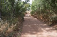 Dirt Road and Sand Street in Utah