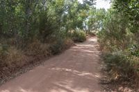 Dirt Road and Sand Street in Utah