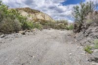 a dirt road with rocky and grassy hills in the back ground and trees in the front