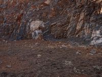 a zebra walking through an arid area in the wild, with rocks and rocks on one side