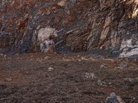 a zebra walking through an arid area in the wild, with rocks and rocks on one side